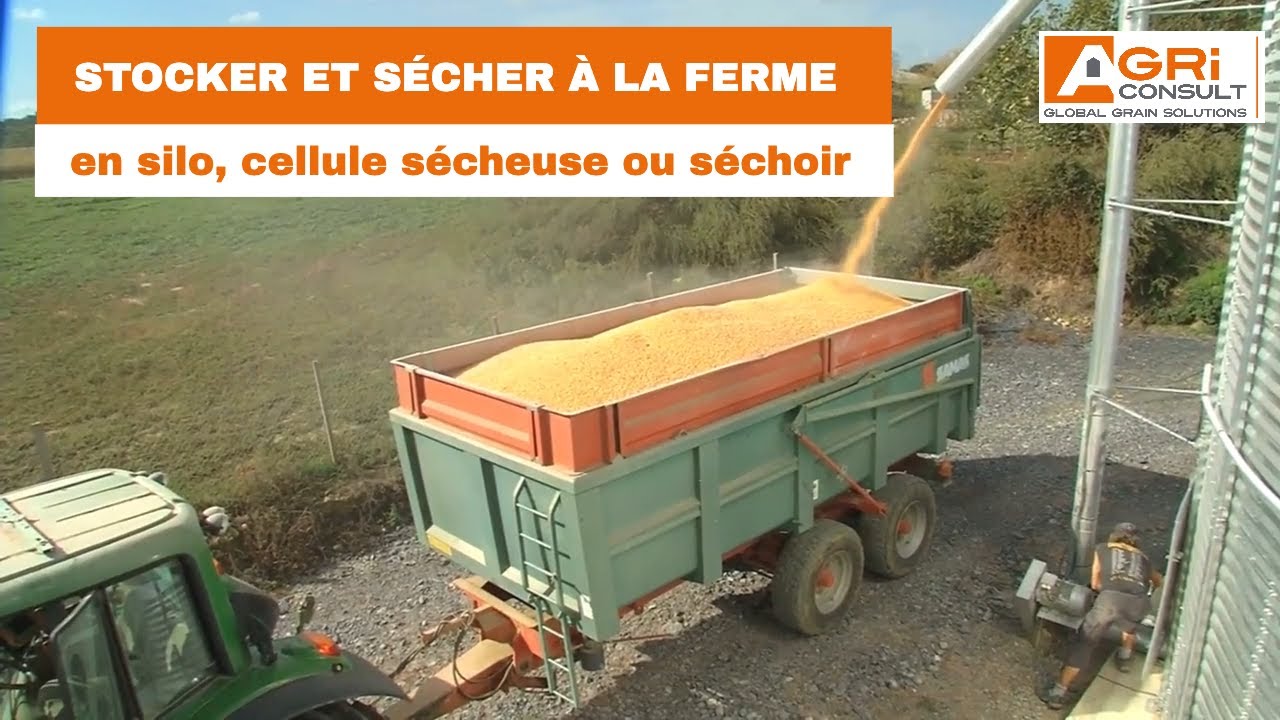 Stocker en silo et sécher à la ferme en cellule sécheuse ou séchoir