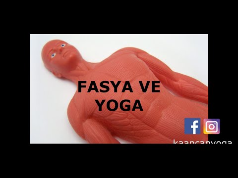 Fasya ve Yoga İlişkisi (Intro)