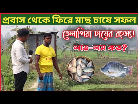 মনোসেক্স তেলাপিয়া চাষ করে সফল হওয়ার রহস্য জানুন! মধুপুর এগ্রো তেলাপিয়া মাছ চাষ। মনোসেক্স তেলাপিয়া।