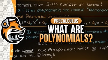What Are Polynomials?