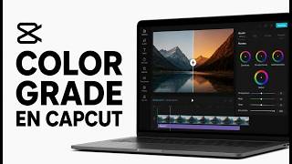 Cómo hacer Color Grade en CapCut