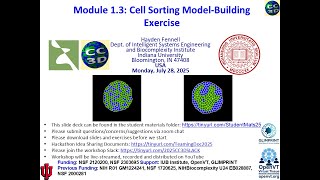 CompuCell3D WS 2025: 1.3: Creating a Cell Sorting Simulation [Hayden Fennell] July 28, 2025