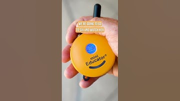 E Collar Training for Beginners STEP 1