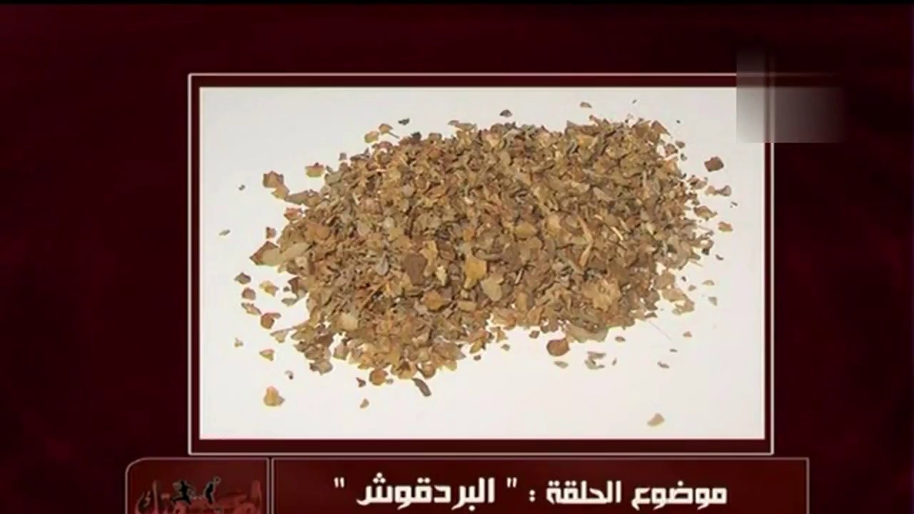 فوائد البردقوش أو المردقوش أو المردكوش | الدكتور أمير صالح