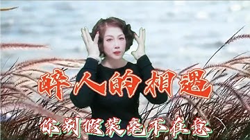 手势舞《醉人的相遇》DJ 默涵版 原唱 李英 愿真情和友情不被辜负【才思敏捷安安姐】