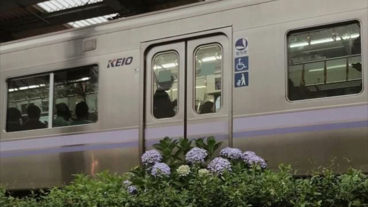 wiped out! - the neighbourhood (slowed + reverb)