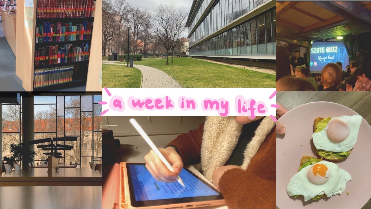 EGY PRODUKTÍV HETEM📚|meal prep, tanulás, szote quiz est