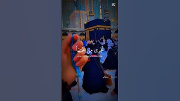 #القرآن_الكريم #استغفر_الله_واتوب_إليه_استغفر_الله #صلوا_علي_سيدنا_محمدﷺ #آيات #ايات_قرانيه_قصيره