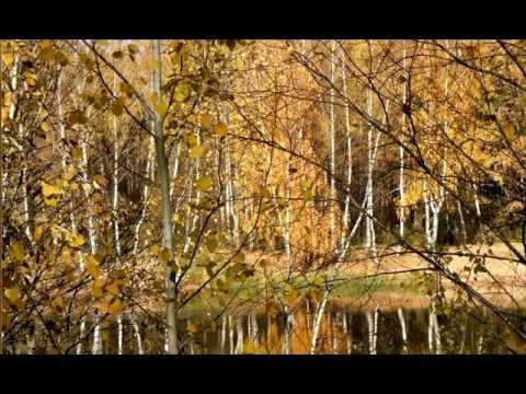 Мелодия ( Картинки осени)