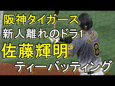 阪神タイガース　超大型新人　佐藤輝明選手の試合前ティーバッティング！！　大物の風格