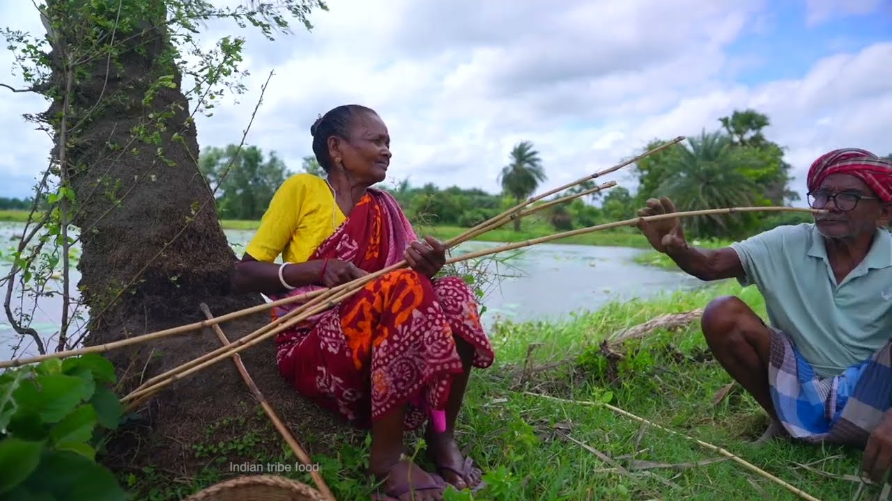 Hook fishing and cooking | climbing perch fish catching in lotus pond by my grandparents | koi bhapa