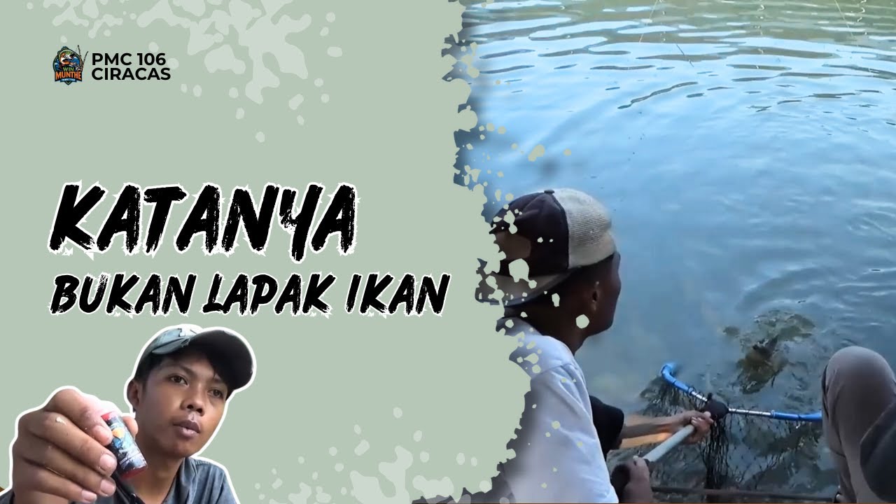 Ikan Rame Juga, Ikan Babon Juga || PMC 106 CIRACAS || Essen BRAHMAN Galak Banget..