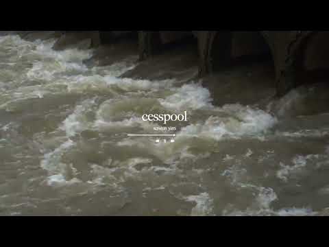 Cesspool - Suwon Yim (Official Video) ?