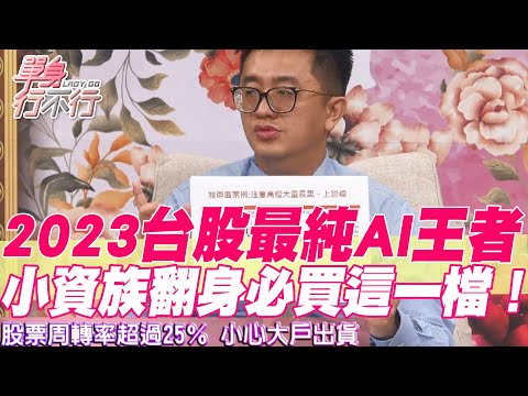 【精華版】2023台股最純AI王者！小資族翻身必買這一檔！