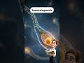 spermatogenesis #learnbiology #studybiology #biology #cbse12thbiology #education #neet #shorts