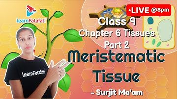 Class 9 Tissues Part 2: What is Meristematic Tissue? - Surjit