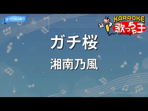 【カラオケ】ガチ桜/湘南乃風