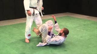Worm Guard Defense