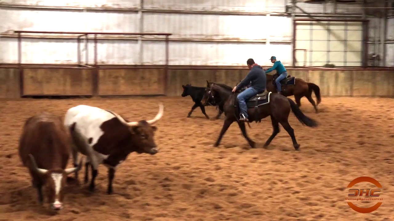 Cutting Horse For Sale JTR Sweet Kittenblu YouTube