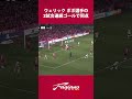 ウェリック ポポ選手2試合連続ゴールで同点/ファジアーノ岡山vsセレッソ大阪【百年構想リーグ】