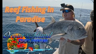 Reef Fishing in Paradise Great Barrier Reef Australia
