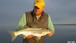 How to Jiggin' Troll for Nantucket Sound Stripers