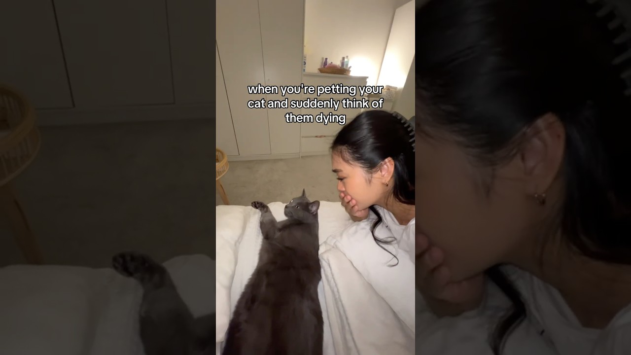 Домашние животные заслуживают вечной любви😭 