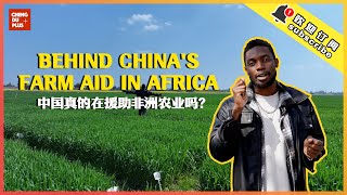 Is Chinas Farm Aid In Africa Just For Show? I Thought So Until I Saw This...