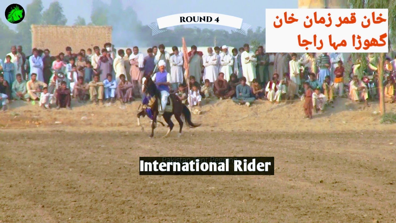 Qamar Zaman Khan | Horse Maharaja Son Of Mehboob | Neza Bazi Piplan | Pakistan Tent Pegging