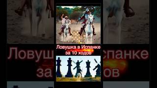 Ловушка в Испанской партии за 10 ХОДОВ! #онлайншахматы #chess #шахматыдлядетей