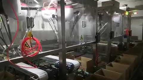 Automatic Case Packer for Confectionary & Snacks, 4 Case Packing Lines by Delta(spider) Robot