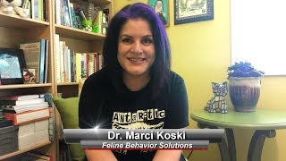 Marci Koski - Cat Behaviorist for Feline Behavior Solutions