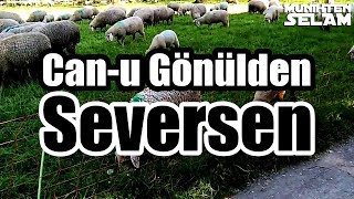 Can-u Gönülden Seversen | Müziksiz HELAL İlahi Resimi