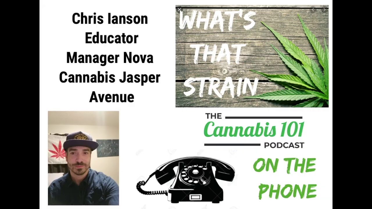 What's That Strain?!?! Lemon Meringue Delta9