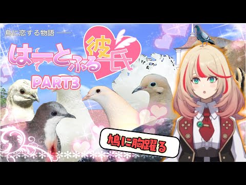 【はーとふる彼氏】波浪ヒカリは鳩に恋をする【Vtuber：波浪ヒカリ】