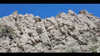 Musa Eroğlu Felek Çakmağını Ustüme Çaktı