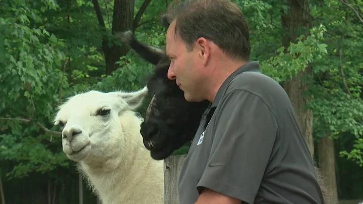 Goin’ To The Lake: A Trip To Fawn-Doe-Rosa