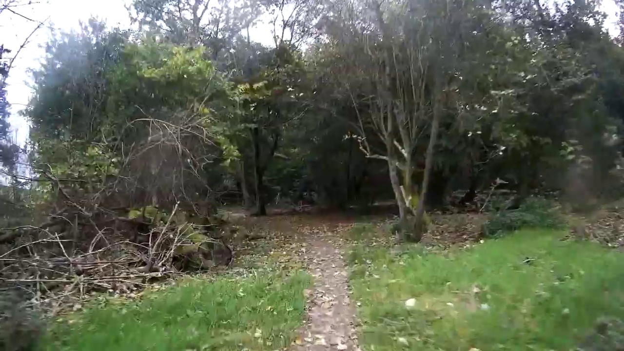 MTB Route Almere-Kemphaan