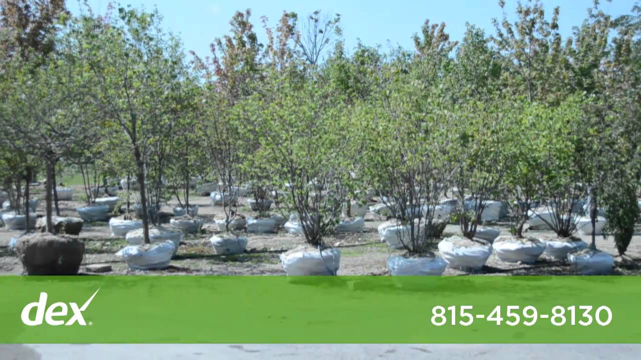 Countryside Flower Shop, Nursery & Garden Center YouTube