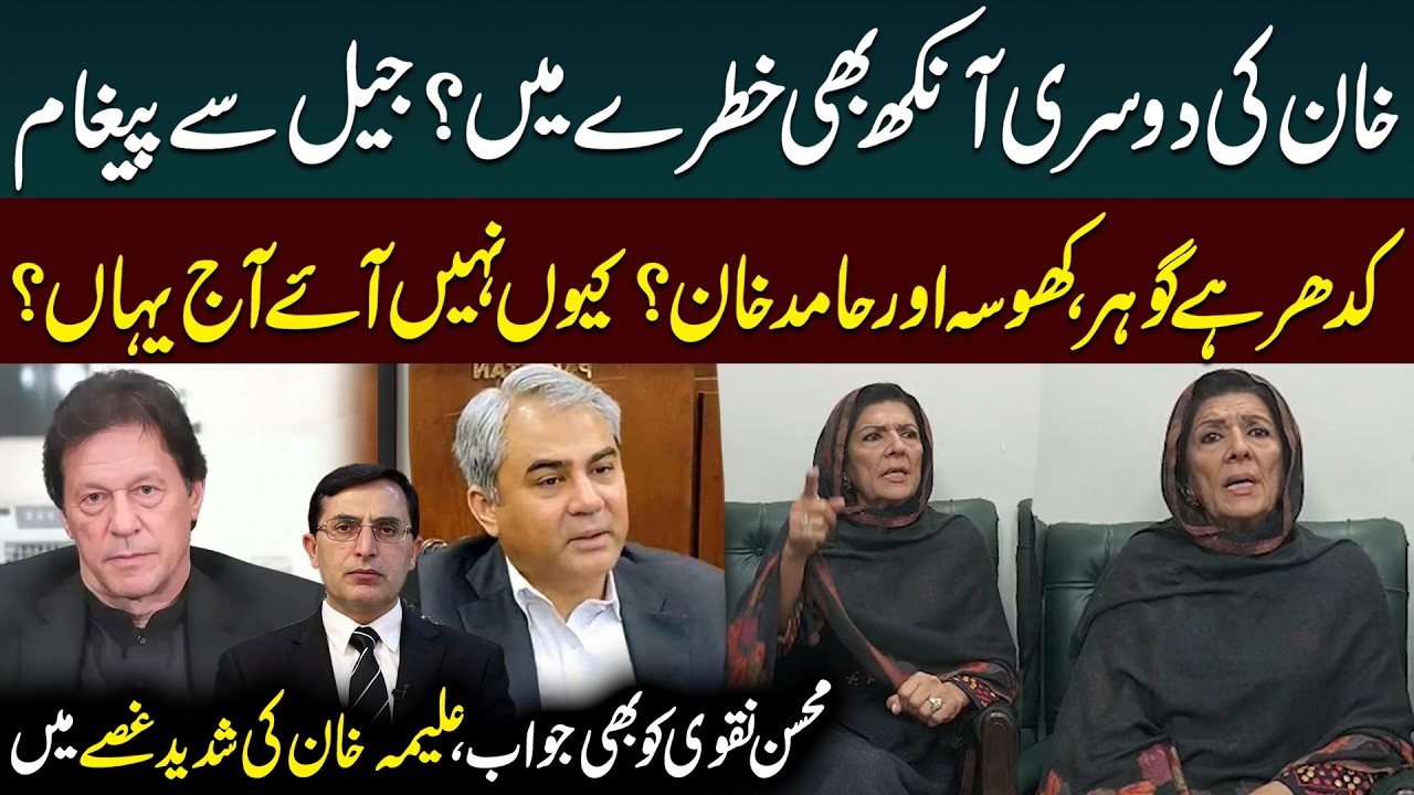 Imran Khan's 2nd Eye Also in Danger! | Aleema Khan Bashed out at PTI Leadership | Public News