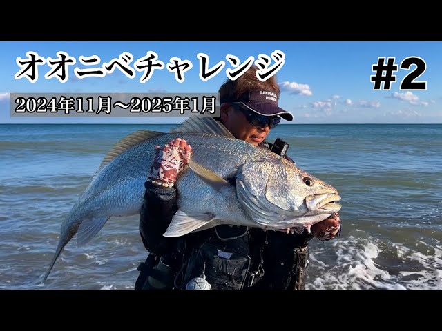 宮崎県日向灘 オオニベ釣行 ＃2 （2024年12月9日～2025年1月11日
