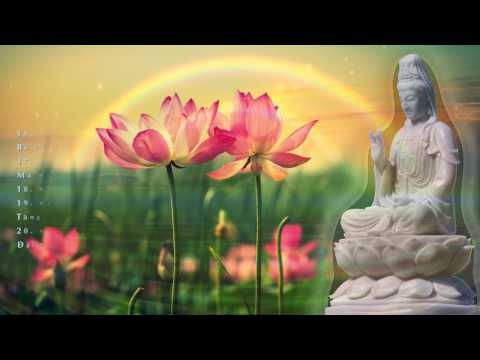 Video Sám Pháp Đại Bi Có Chữ - Thầy Thích Pháp Hòa Tụng - youtube