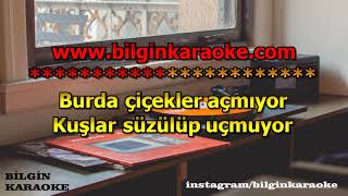 Ahmet Kaya - Geçmiyor Günler (Karaoke) Türkçe Resimi