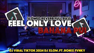 DJ FEEL ONLY LOVE X BAHANA PUI (slowed reverb) 🎧 DJ XLOW.ft.RONIX FVNKY