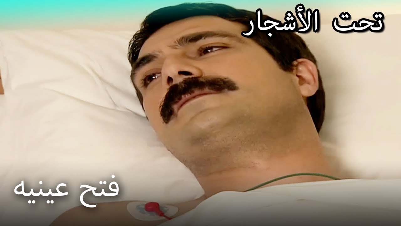 عاد يلماز أخيرا إلى رشده - القسم الخاص تحت الزيزفون