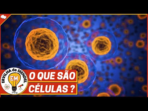 Vídeo: O que Robert Hooke descobriu?