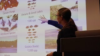 Famous Lightning Talks: Professor Karen Alofs Net Worth