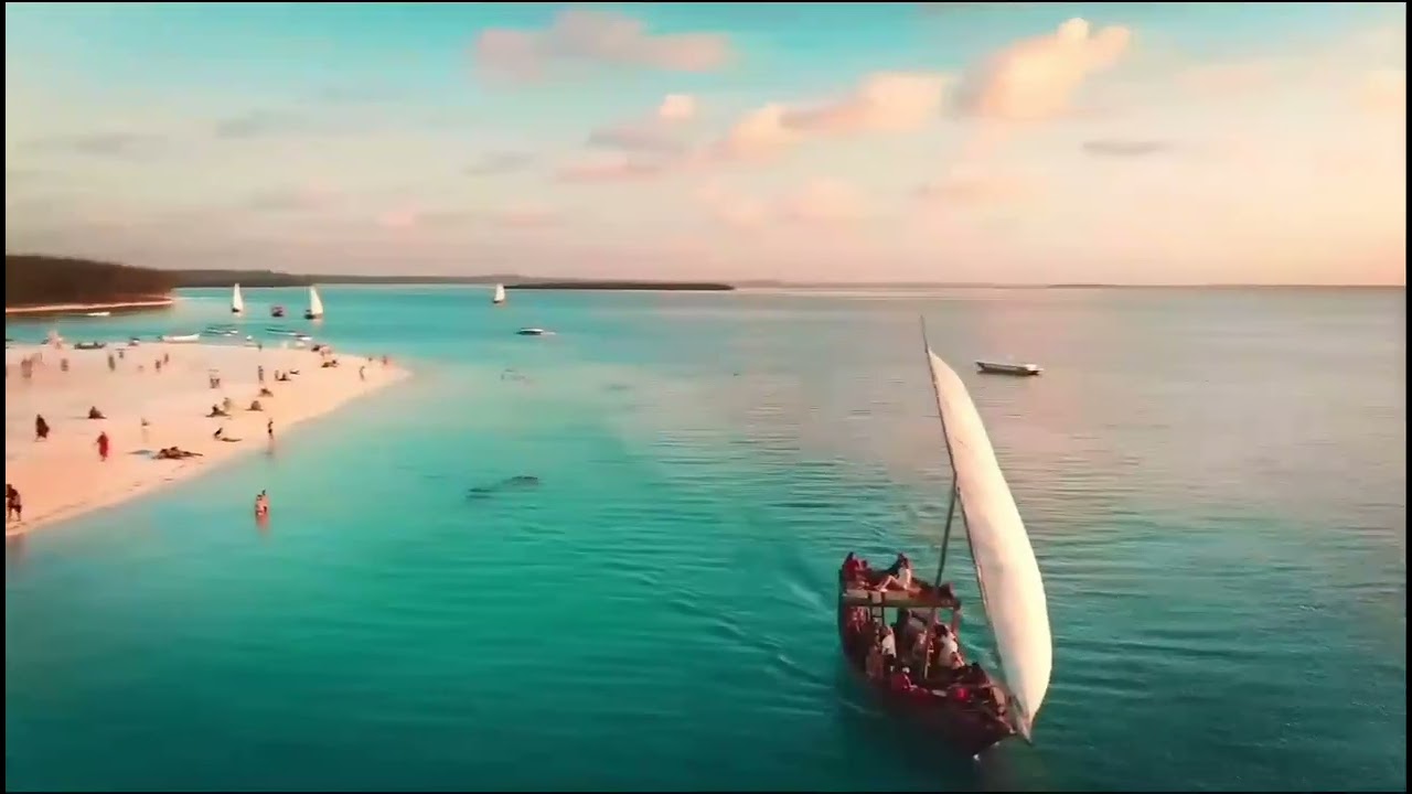 Tanzania Wildlife safaris 🦁🐈🦒🐆🐘🐃🦓, Mountain Kilimanjaro 🗻 & Zanzibar Island🏝️