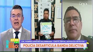 Desarticulan Banda Delincuencial
