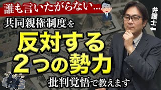 【批判覚悟】「共同親権制度」を反対する2つの勢力とは…